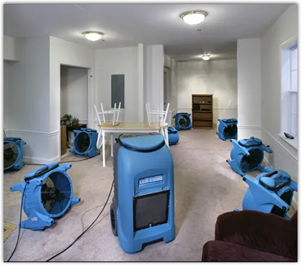 Odor Removal & Deodorization in Marion, AR